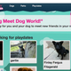 Illustration for article titled Puppy Social Networking Is Here to Rescue Lonely People